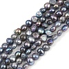 Natural Cultured Freshwater Pearl Beads Strands PEAR-P064-19D-05F-2