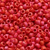 TOHO 6/0 Round Beads SEED-XTR06-0405F-4