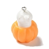 Resin Pendants LS-CRES-D009-01H-2