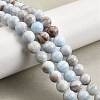 Natural Striped Stone Beads Strands G-D315-A01-01-8mm-1