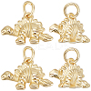 10Pcs Rack Plating Brass Pendants KK-BBC0017-13-1