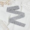 1 Yard Glitter Resin Hotfix Rhinestone(Hot Melt Adhesive On The Back) DIY-LP0002-37B-1