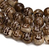 Tibetan Style dZi Beads Strands GG-CBA4812-B04-10MM-4
