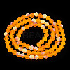 Imitate Austrian Crystal Bicone Frosted Glass Beads Strands LS-EGLA-A039-T6mm-MB23-3