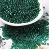 Transparent Colours Glass Round Seed Beads SEED-B001-06A-09-1
