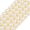 Glass Pearl Beads Strands HY-G002-01D-02-1