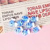 Handmade Lampwork Beads PW-WG75748-01-1