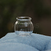 Mini Glass Pot BOTT-PW0011-36F-1
