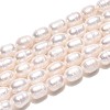Natural Cultured Freshwater Pearl Beads Strands PEAR-T006-19B-2