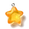 Marine Series Transparent Resin Pendants RESI-E031-02P-05-2