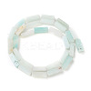 Natural Flower Amazonite Beads Strands G-G837-08-2