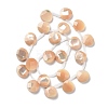 Natural Trochus Shell Beads Strands BSHE-D021-02A-2