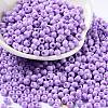 Baking Paint Glass Seed Beads SEED-H002-I-A531-1