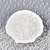 FGB Grade A Transparent Glass Seed Beads SEED-Q040-03A-12-3