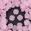 Frosted Transparent Acrylic Beads X1-OACR-P029-19B-05-1