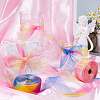 2 Skeins 2 Colors Rainbow Color Polyester Organza Ribbon SRIB-CY0001-04-4