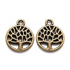 Tibetan Style Alloy Pendants LS-TIBEP-T009-25AB-NR-2