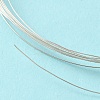 Dead Soft 925 Sterling Silver Wire STER-NH004-A-2