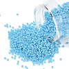 MIYUKI Round Rocailles Beads SEED-G007-RR0433-1