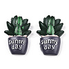 Opaque Resin Decoden Cabochons AJEW-N001-01-1