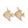 Brass Cubic Zirconia Pendants ZIRC-I062-17G-1