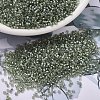 MIYUKI Delica Beads SEED-JP0008-DB2378-4