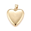 Brass Micro Pave Cubic Zirconia Locket Pendants LS-KK-A161-47G-2
