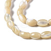 Natural Trochid Shell/Trochus Shell Beads Strands SSHEL-S266-021B-01-3