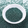 MIYUKI Delica Beads SEED-X0054-DB0607-2