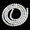 Natural Freshwater Shell Beads Strands X-BSHE-T009A-01A-3