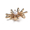 Alloy Rhinestone Brooch for Backpack Clothes JEWB-P046-05A-G-3