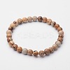 Natural Picture Jasper Round Beaded Stretch Bracelets BJEW-F202-03-1