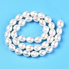 Natural Cultured Freshwater Pearl Beads Strands PEAR-N012-07U-3