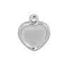 304 Stainless Steel Charms PW-WGD7194-01-1