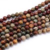 Natural Polychrome Jasper/Picasso Stone/Picasso Jasper Round Bead Strands LS-G-J303-16-10mm-1