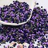 Baking Paint Glass Seed Beads SEED-S042-05B-54-1
