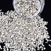 Plated Glass Seed Beads MRMJ-S034-04Q-1