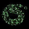 Luminous Handmade Glod Sand Lampwork Beads Strands LAMP-B028-03K-10mm-4