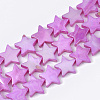 Freshwater Shell Beads Strands SHEL-S276-51-2
