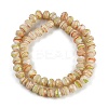 Handmade Lampwork Beads Strands LAMP-T007-13J-2