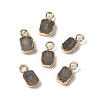 Natural Labradorite Rectangle Charms G-Q169-07G-11-1