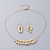 Pendant Necklace and Dangle Earring Jewelry Sets SJEW-JS01083-1