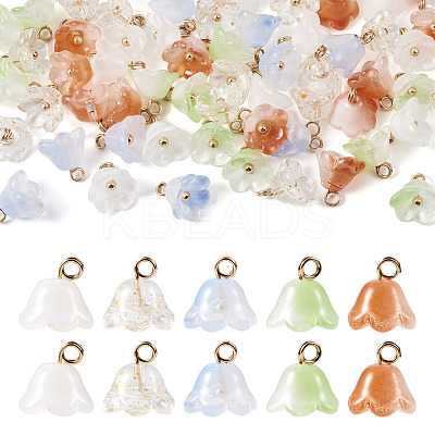 80Pcs 5 Colors Handmade Lampwork Charms FIND-TA0002-77-1