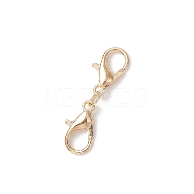 Zinc Alloy Lobster Claw Clasps PALLOY-JF04249-01-1