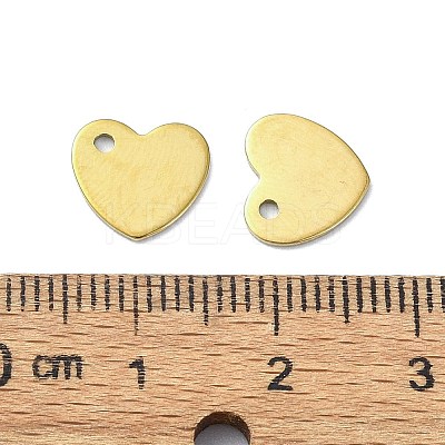 Ion Plating(IP) 201 Stainless Steel Charms LS-STAS-H191-01B-G-1