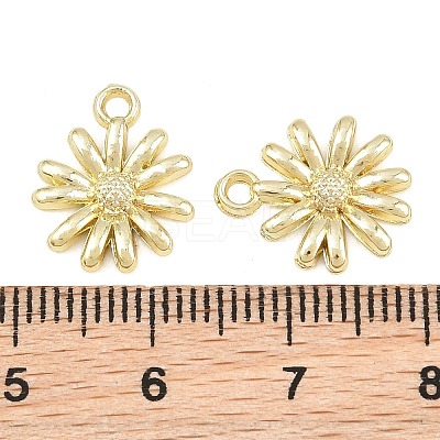 Alloy Charms AL-CBA1FD3-24G-02-1