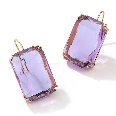 Rectangle Alloy Cubic Zirconia Dangle Earrings FS-WGB3F13-04-1