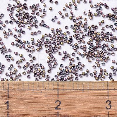 MIYUKI Delica Beads X-SEED-J020-DB1056-1