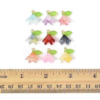 50Pcs Transparent Acrylic Pendants PALLOY-FS00043-02-1