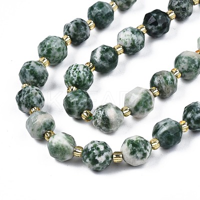 Natural Green Spot Jasper Beads Strands G-N326-100-07-1